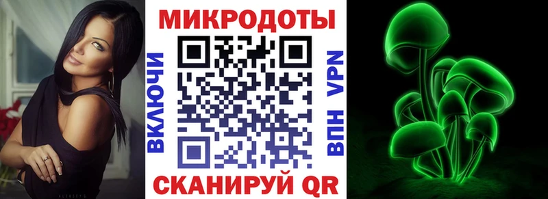 Галлюциногенные грибы Psilocybine cubensis  Северо-Курильск 